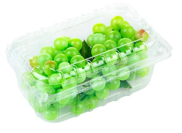 Choisir le bon contenant &agrave; fruits en plastique&nbsp;: principales caract&eacute;ristiques &agrave; prendre en compte